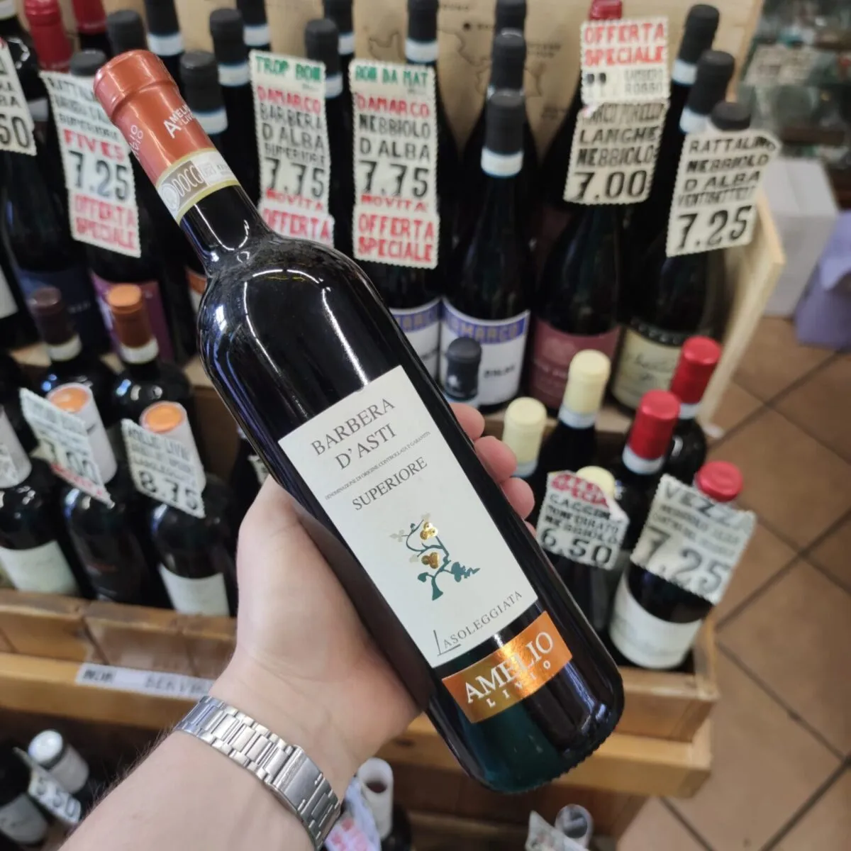 Amelio Livio Barbera D’Asti Superiore Docg “La Soleggiata”